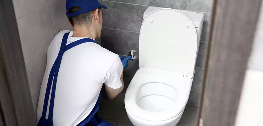 Toilet Lid Replacement in Jefferson Hills