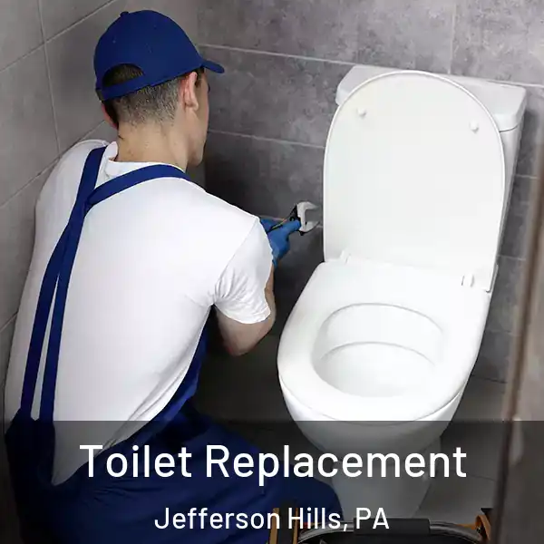  Toilet Replacement Jefferson Hills, PA